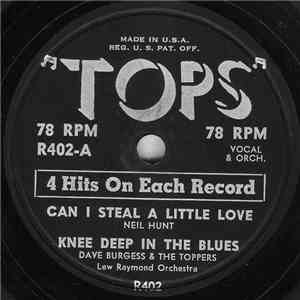 Neil Hunt, Dave Burgess & The Toppers  - Can I Steal A Little Love FLAC