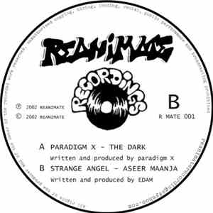 Paradigm X / Strange Angel - The Dark / Aseer Maanja FLAC