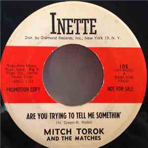 Mitch Torok And The Matches - Are You Trying To Tell Me Somethin' FLAC