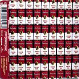 Moodswings Featuring Chrissie Hynde - Spiritual High FLAC