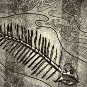 Ruotomieli - Koiruohobluesband FLAC