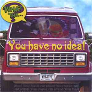 What The...? - You Have No Idea! FLAC