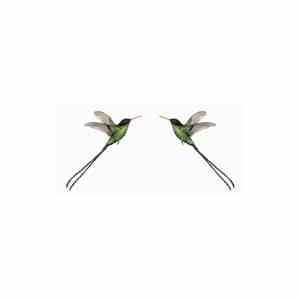 elizabeth Veldon - For The Birds On St Valentines Day FLAC
