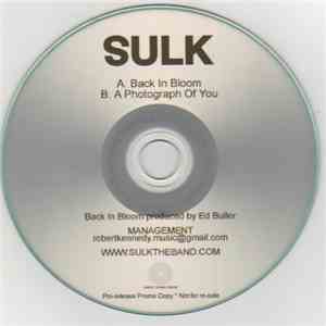 Sulk  - Back In Bloom FLAC
