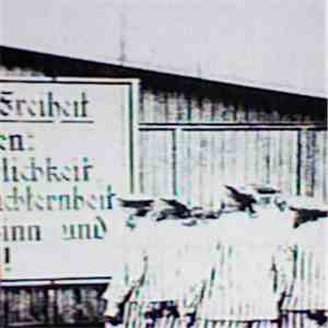 Various - Bis Du Krank Du Schwein? FLAC