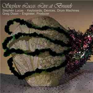 Stephen Lucas - Stephen Lucas: Live At Brussels FLAC