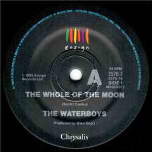 The Waterboys - The Whole Of The Moon FLAC