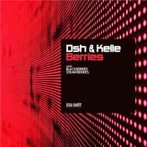 Dsh  & Kelle - Berries FLAC