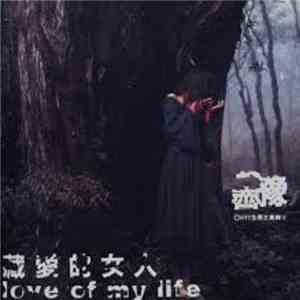 齊豫 - 藏愛的女人 Love Of My Life FLAC