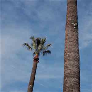 So Stressed - Please Let Me Know FLAC