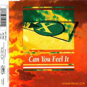 BWX - Can You Feel It FLAC