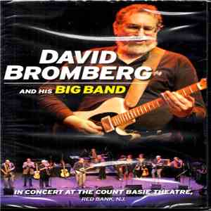 David Bromberg Band - David Bromberg And His Big Band In Concert At The Count Basie Theatre, Red Bank, Nj. FLAC