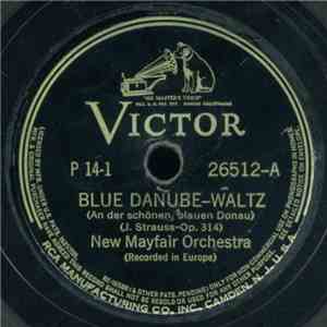 Various - Strauss Waltzes FLAC