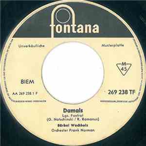 Bärbel Wachholz - Damals FLAC
