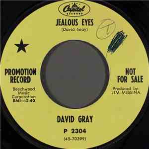 David Gray  - Jealous Eyes FLAC