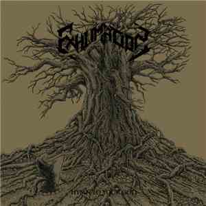 Exhumation - Hymn To Your God FLAC