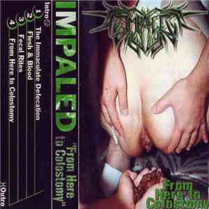 Impaled - From Here To Colostomy FLAC