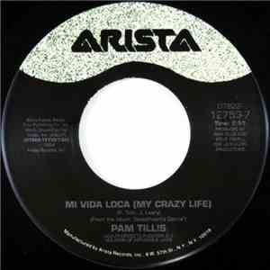 Pam Tillis - Mi Vida Loca (My Crazy Life) / Ancient History FLAC