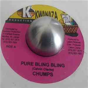Mr. Chumps - Pure Bling Bling FLAC