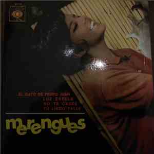 Unknown Artist - Merengues FLAC