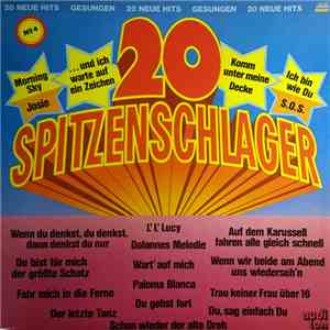 Various - 20 Spitzenschlager No 4 FLAC
