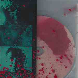 Admiral Angry / Circuit Wound - Android FLAC