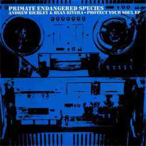 Andrew Richley & Ryan Rivera - Protect Your Soul EP FLAC
