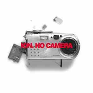 ION  - No Camera FLAC