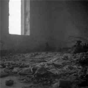 Rafael Anton Irisarri - Reverie FLAC