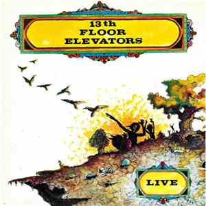 13th Floor Elevators - Live FLAC