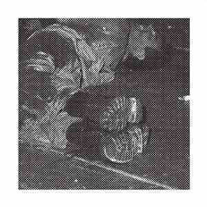 Clair Obscur - C.O.I.T. - A Collection Of Isolated Tracks 1981-1988 FLAC