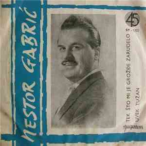 Nestor Gabrić - Tek Što Mi Je Grožđe Zarudelo / Uvek Tužan FLAC