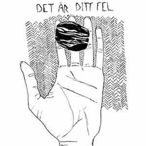Shitfucks - Det Är Ditt Fel FLAC