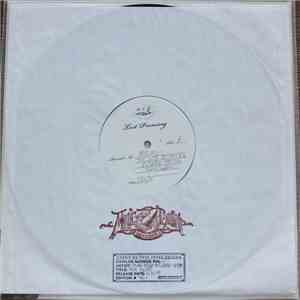 This Will Destroy You & Lymbyc Systym - Field Studies FLAC