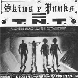 Various - Skins E Punks = T.N.T. FLAC