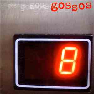 Gossos - 8 FLAC