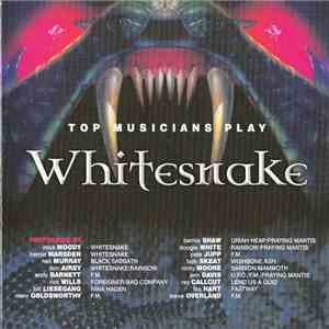 Various - Top Musicians Play Whitesnake FLAC