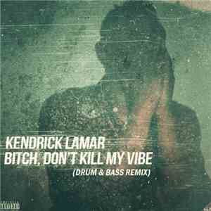 Kendrick Lamar - Bitch, Don't Kill My Vibe (Drum & Bass Remix) FLAC