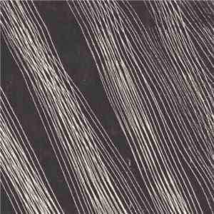 Black Thread - Contemplation / Incompleteness FLAC