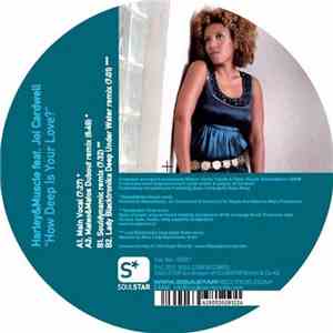 Harley&Muscle Feat. Joi Cardwell - How Deep Is Your Love? FLAC