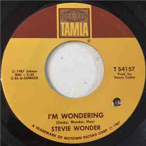 Stevie Wonder - I'm Wondering / Every Time I See You I Go Wild FLAC