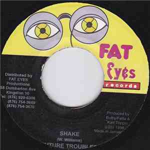 Future Troubles - Shake FLAC