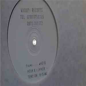 Hook & Lekker - Tension Rising FLAC