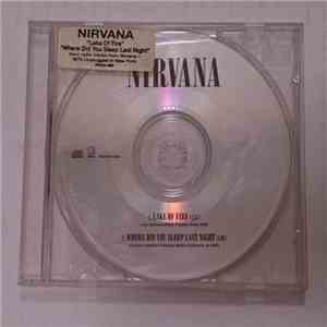 Nirvana - Lake Of Fire / Where Did You Sleep Last Night FLAC