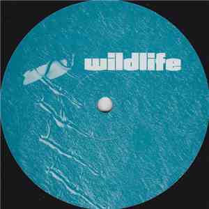 The Bob Bhamra Project - Manhattan Sessions FLAC