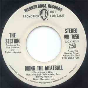 The Section - Doing The Meatball FLAC