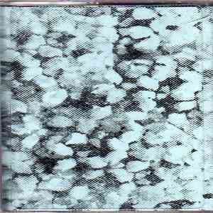 Pink Desert - The Room Is Alive FLAC