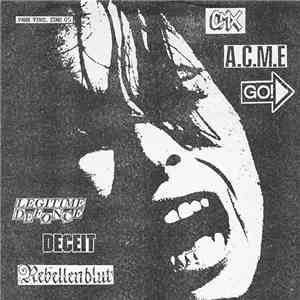 Various - Panx Vinyl Zine 05 FLAC