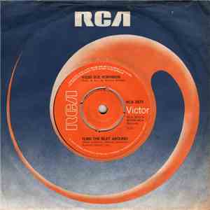 Vicki Sue Robinson - Turn The Beat Around / Common Thief FLAC