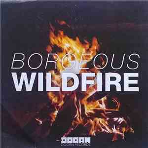 Borgeous - Wildfire FLAC